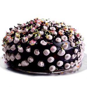 chocolate fantasy cake - Mohali Bakers