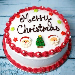 Christmas cakes in mohali & chandigarh