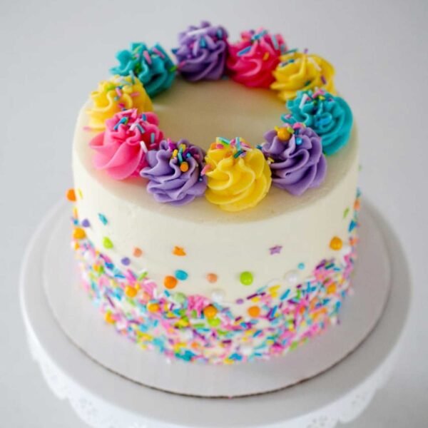 Colorful Cake In Mohali & Chandigarh